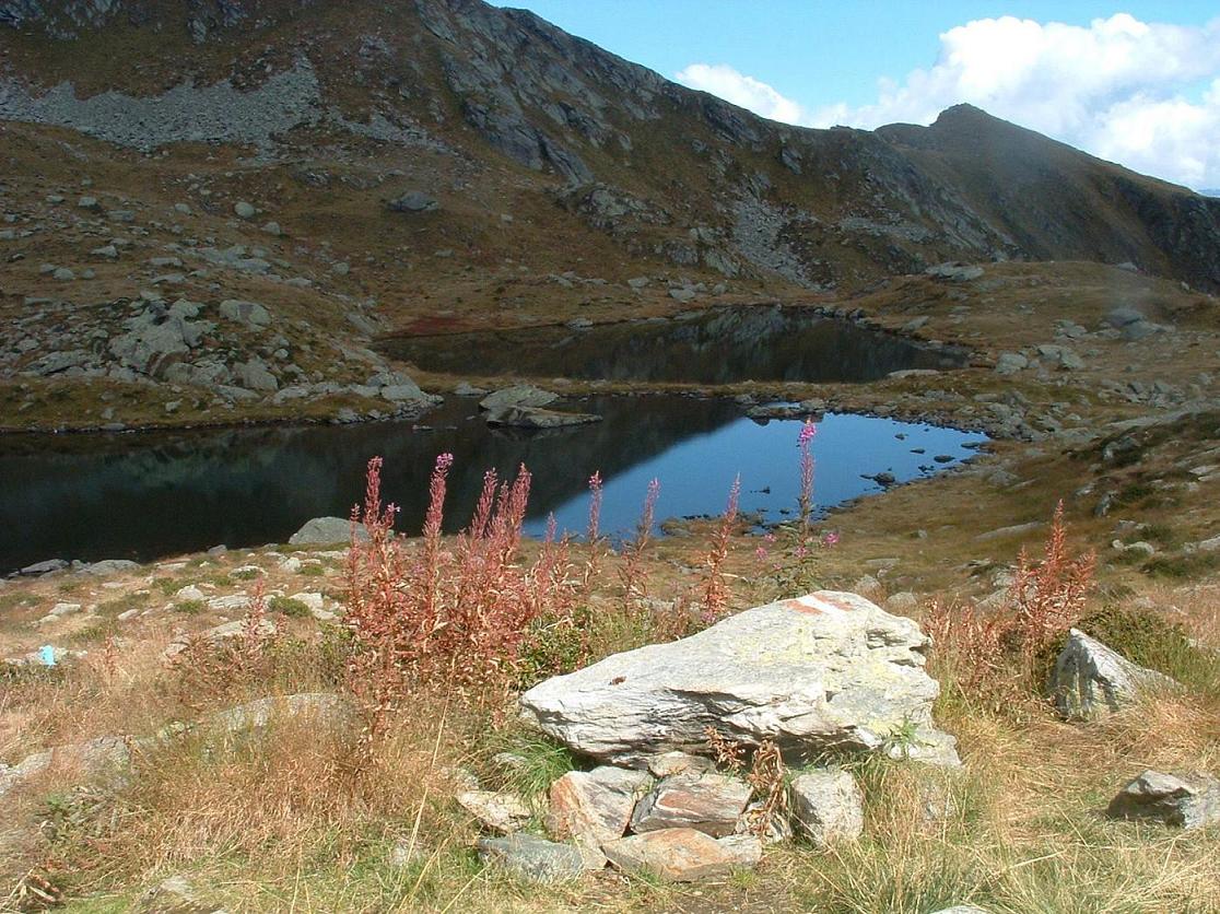 Laghi.......del TRENTINO